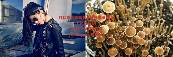 хмурый Струнино