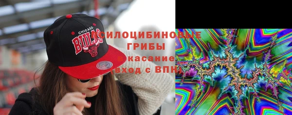 стаф Верхний Тагил