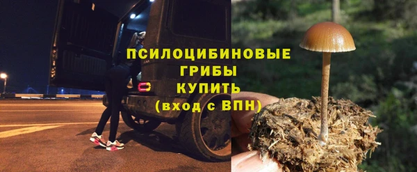 сатива Володарск