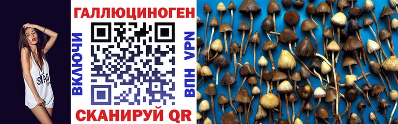 Псилоцибиновые грибы прущие грибы  блэк спрут ТОР  Новоржев 
